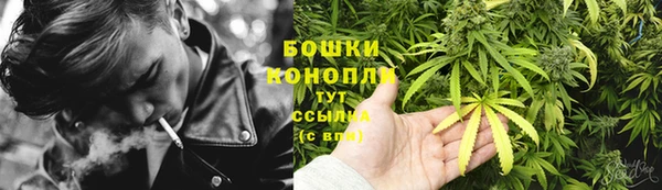 прущая мука Богородск